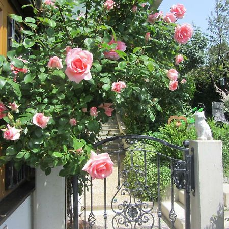 Ratsch an der Weinstraße Anna'S Home - Ferienwohnungen מראה חיצוני תמונה