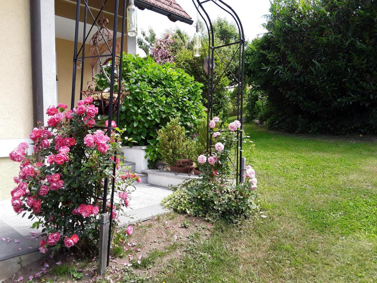 Ratsch an der Weinstraße Anna'S Home - Ferienwohnungen מראה חיצוני תמונה