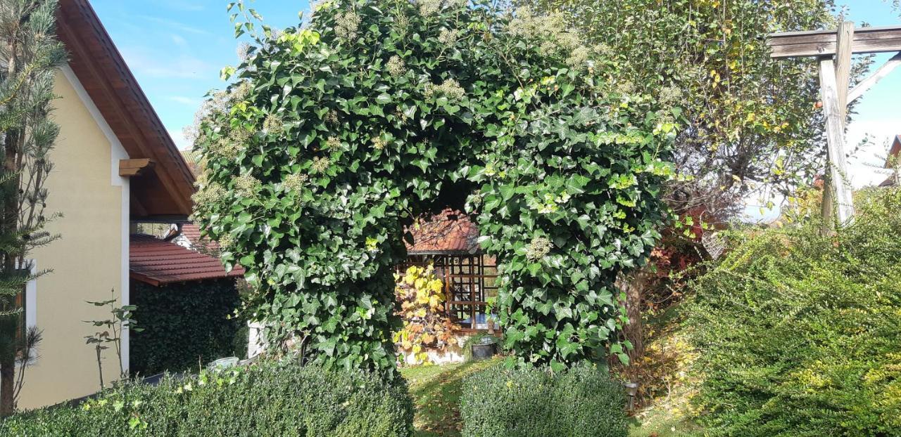 Ratsch an der Weinstraße Anna'S Home - Ferienwohnungen מראה חיצוני תמונה