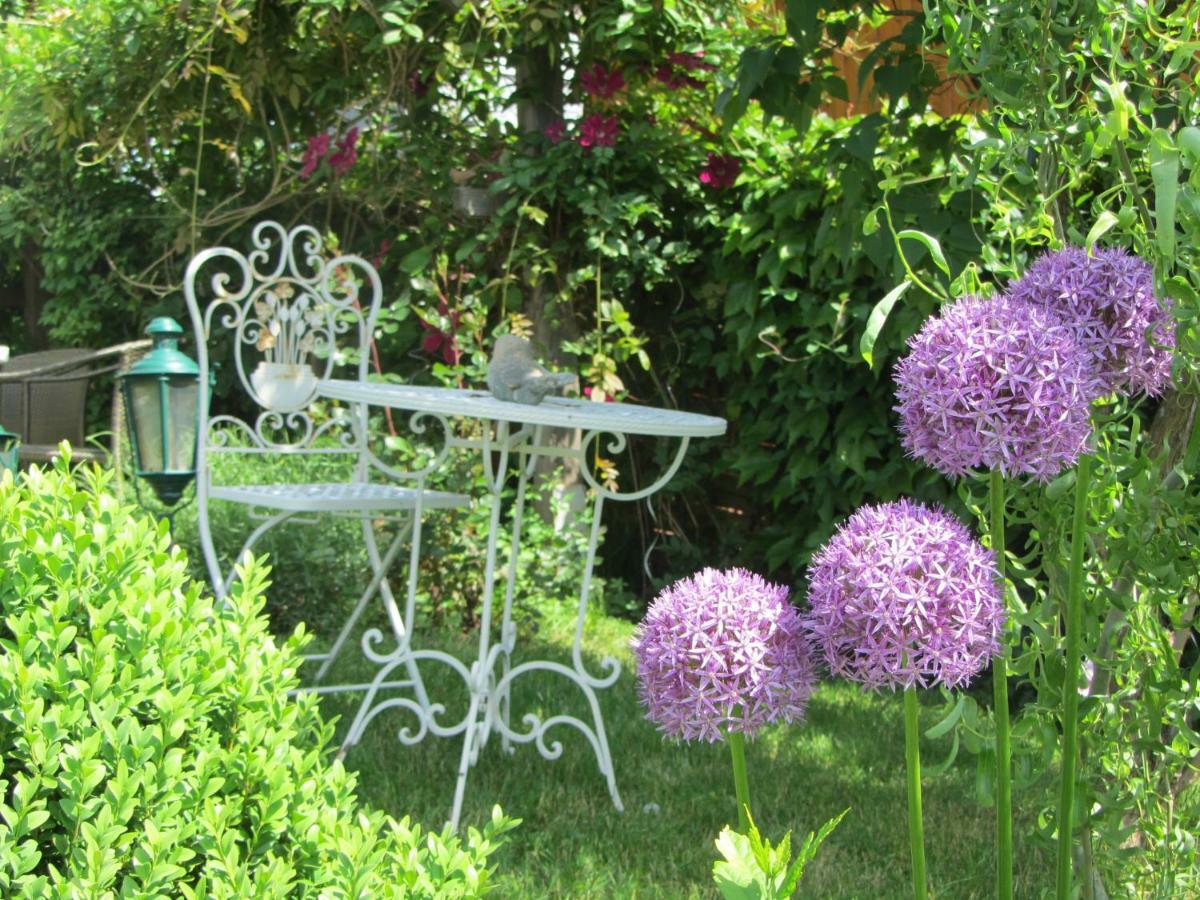 Ratsch an der Weinstraße Anna'S Home - Ferienwohnungen מראה חיצוני תמונה
